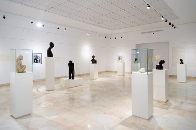 site DSC0734